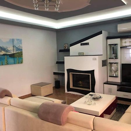 The Olive View Apartment By Ceni, Эльбасан Экстерьер фото